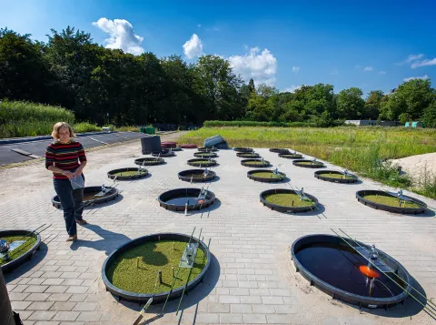 Aquatische ecologie