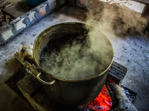 A kettle with Ayahuasca brewing