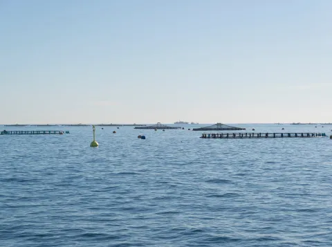 Aquaculture