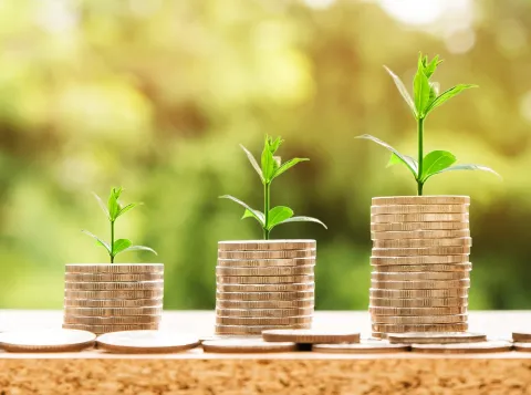 Hero Economie en Bedrijfseconomie