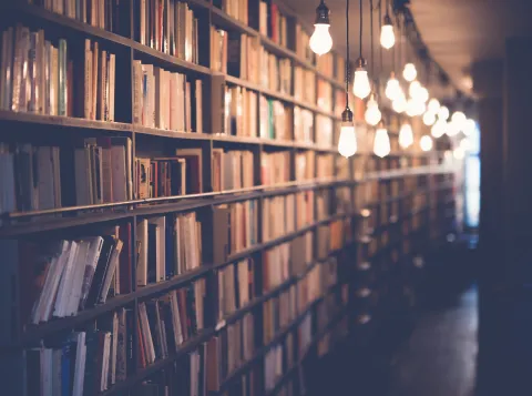 Literary Studies