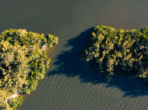 Shallow lake