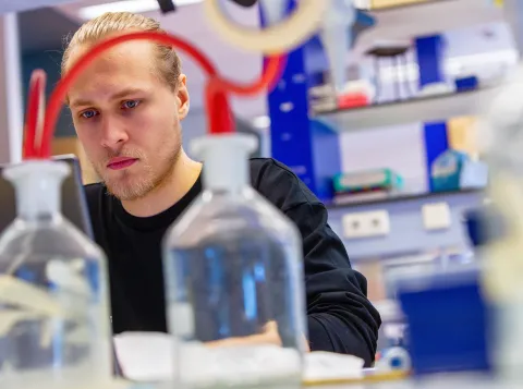 Student Molecular Mechanisms of Disease (research)