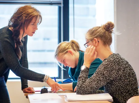 Tweejarige Educatieve Master Nederlands