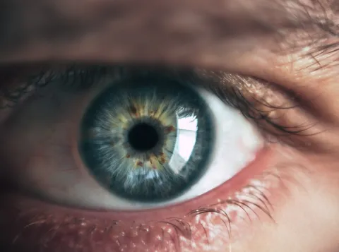 Zoomed in picture of an eye