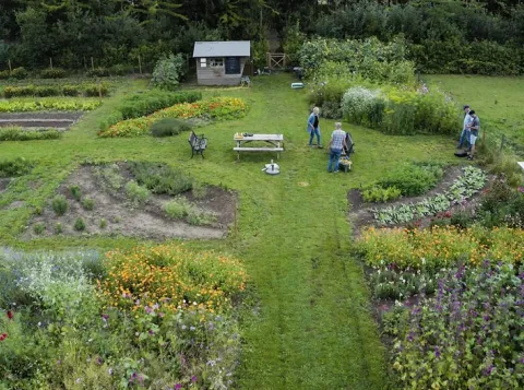 De ecologische oogsttuin