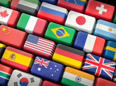 Country flag buttons