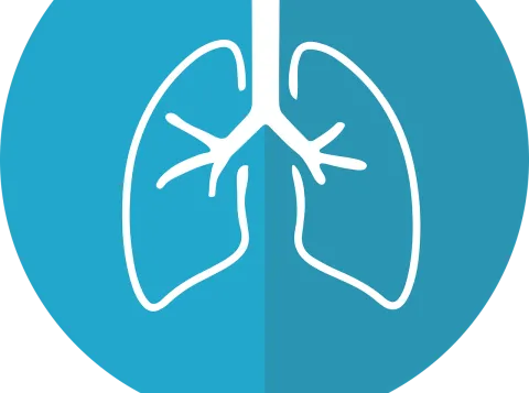 Icon for lungs