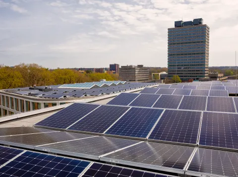 Een foto van de zonnepanelen op het dak van het Maria Montessorigebouw. In de achtergrond zie je het Erasmusgebouw.