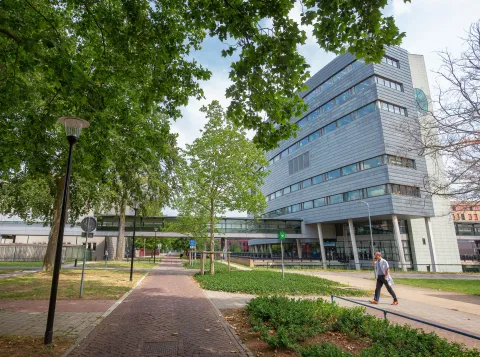 Building of RIMLS