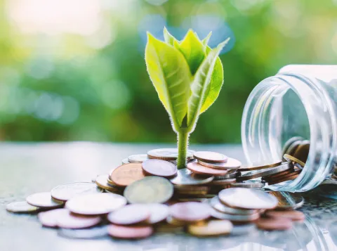 Sustainable Finance