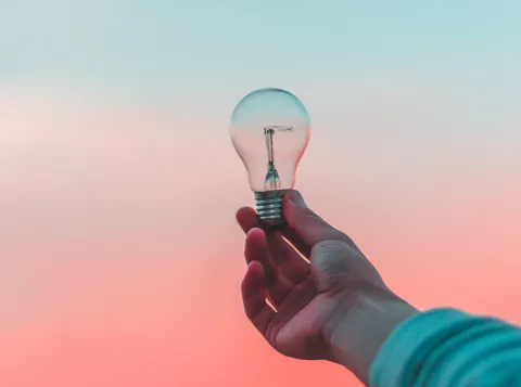 Person holding a lightbulb before a sunset