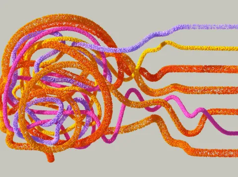 Different coloured lines that form the structure of a human head
