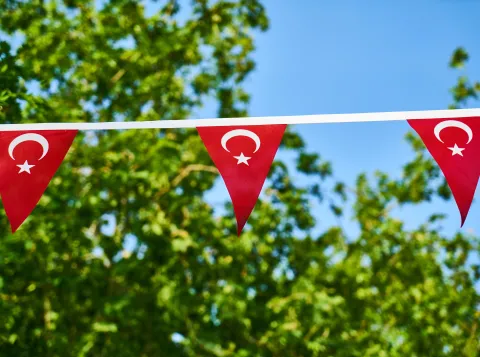 Turkish flags