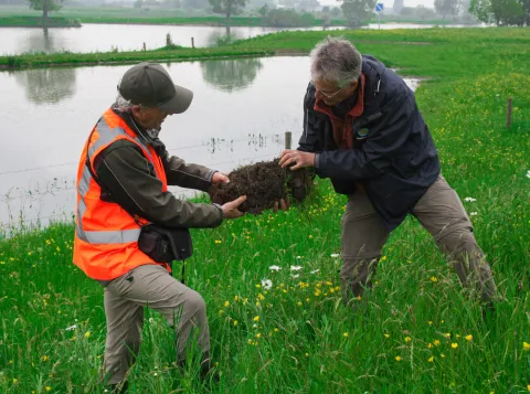 Hans de Kroon (r) en Cyriel Liebrand testen de wortelmat van een bloemrijke dijk