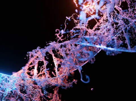 dna