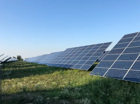 Solar panels in a green environment