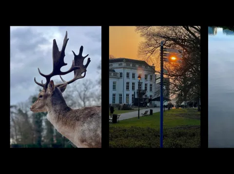 Eland, Sonsbeekpark en rivier: een glimps uit de resultaten van de fotoworkshop :het perfecte plaatje