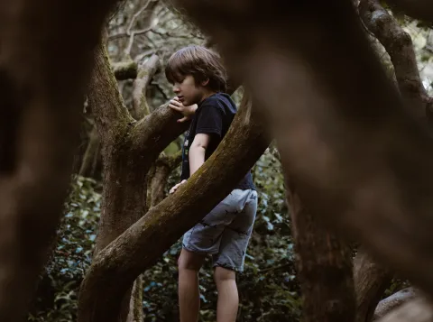 Boy standing on tree branch