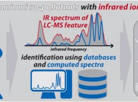 graph showing the identification of organic micro-pollutants.