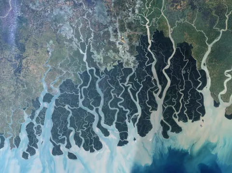Satellietbeelden van de Sundarbandelta
