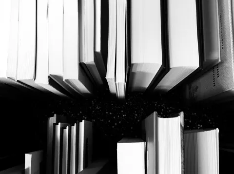 Publicaties Economie