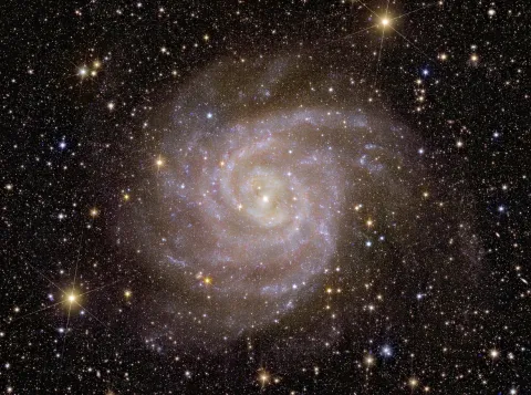 Foto Euclid