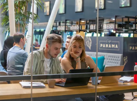 Twee studenten aan het studeren