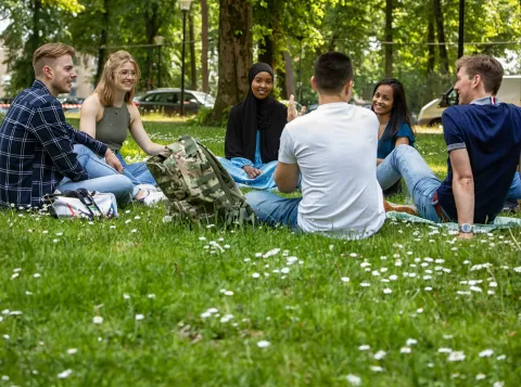 Studenten zitten in het gras