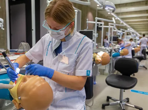 tandheelkunde practicum