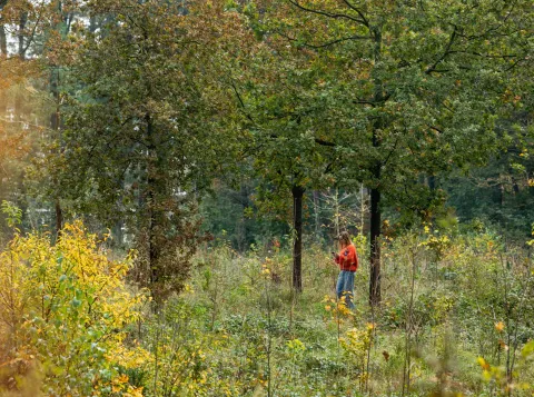 Herfst op de campus