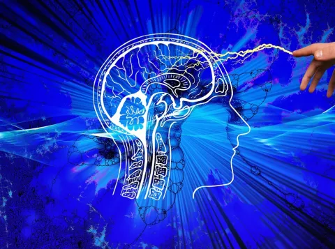 Psychologie
