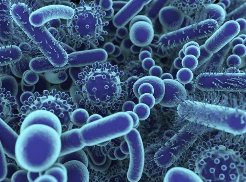 Understanding the gut-brain axis