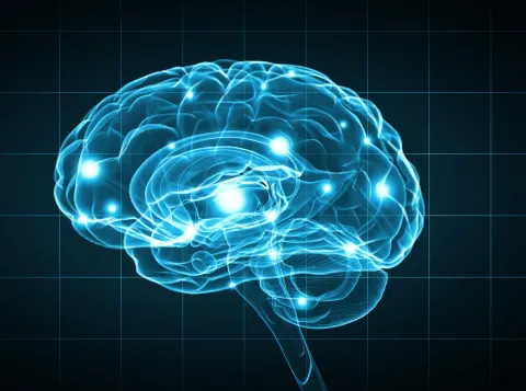 The Future of the Mind in a Digital Society | Lecture and conversation with lawyer and behavioral neuroscientist Emily Murphy and brain scientist Alan Sanfey 
