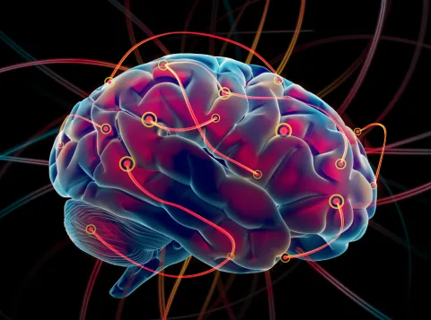 Neuroscience