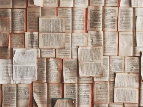 Opengeslagen boeken