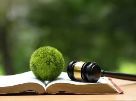 Sustainability & Law