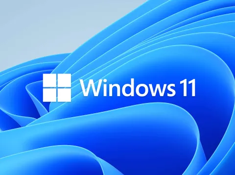 Windows 11 logo