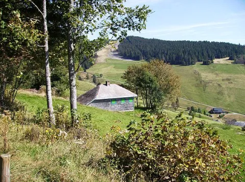 Heideggers hut