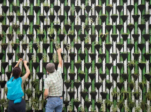 Twee mensen staan voor een muur met planten