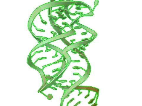 RNA 