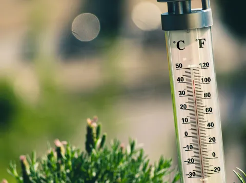 Thermometer zomer
