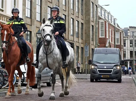 Politie te paard