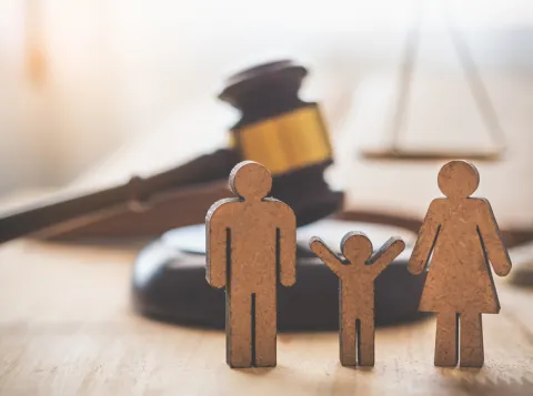 Human rights law