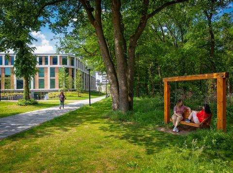 Zomer op de campus
