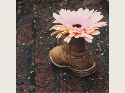 Difficult Steps met een schoen en een bloem erin.