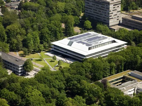 A Roman road on the campus of Radboud University