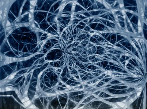‘Minibreintjes’ voor innovatief én individueel hersenonderzoek