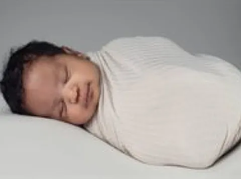 Brain basics: Het babybrein, hoe het allemaal begint