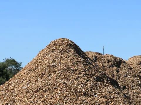 Biomassa kan bijdragen aan de klimaatdoelen